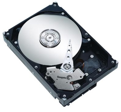 ST31000528AS - Hard disk za desktop
