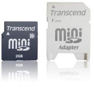 TS2GSDM80  - Mini SD