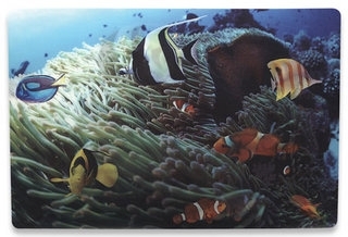 Notebook Skin, 3D Tropical Reef - Folije za laptop